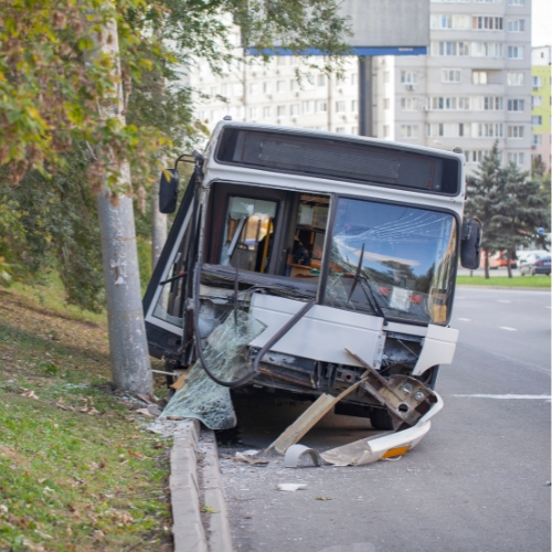bus hit tree