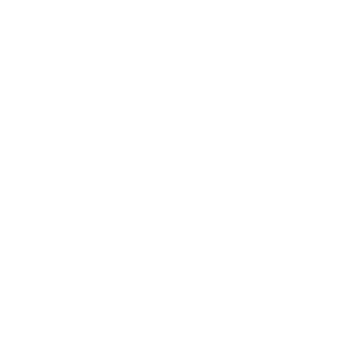 person walking on crosswalk
